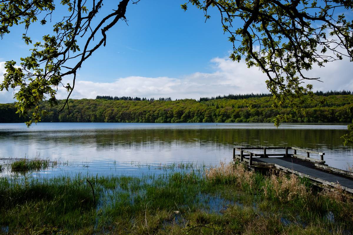 Le tour du Lac de Guerlédan à pied | Destination Coeur de Bretagne