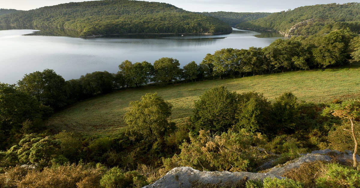 Le tour du Lac de Guerlédan à pied | Destination Coeur de Bretagne
