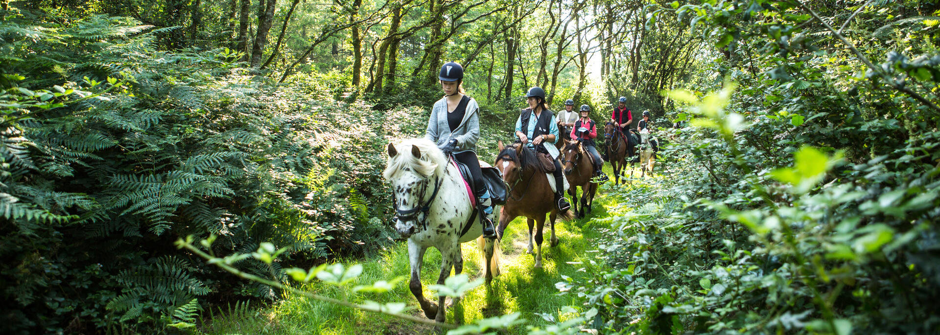 Destination Coeur de Bretagne - Kalon Breizh - Equibreizh ©SimonBourcier
