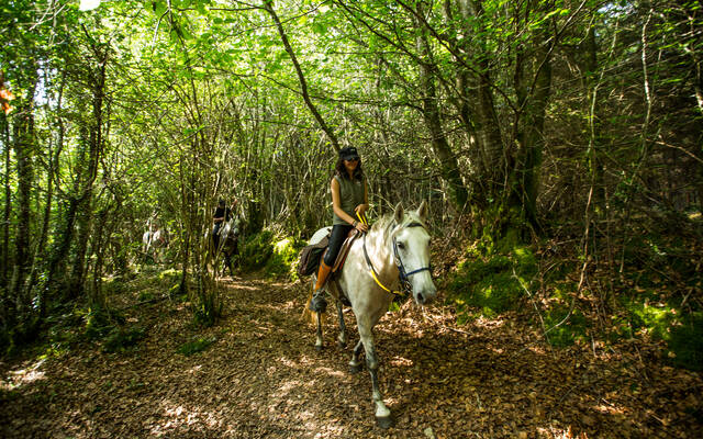 Destination Coeur de Bretagne - Kalon Breizh - Heart of Brittany - Equibreizh