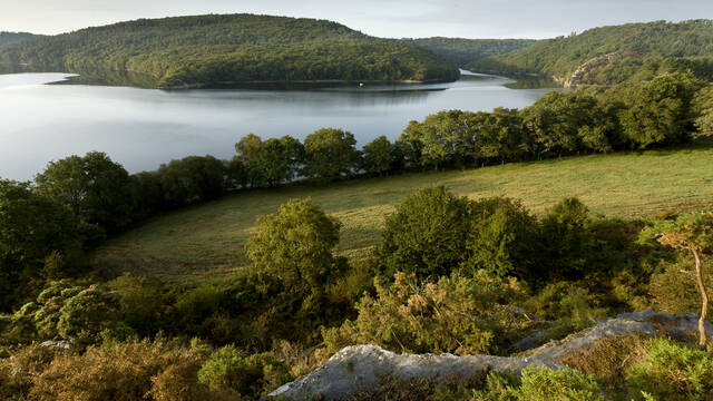 Destination Coeur de Bretagne - Kalon Breizh, Tour du lac de Guerlédan à pied