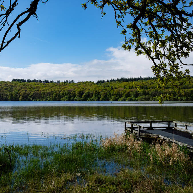 Séjour Destination Coeur de Bretagne - Kalon Breizh - Tour du Lac de Guerlédan à pieds ©YannickDerennes