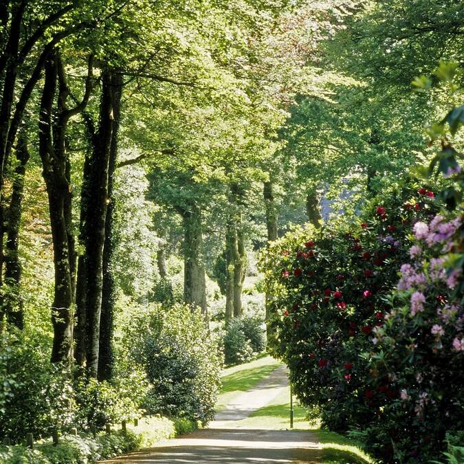Parc du Château de Trévarez en Bretagne © Bernard Galeron