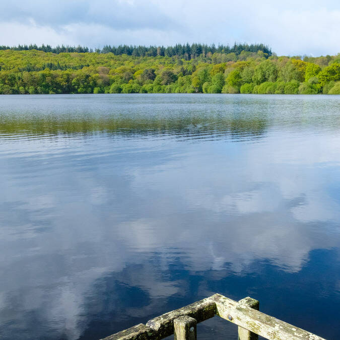 Séjour Destination Coeur de Bretagne - Kalon Breizh - Tour du Lac de Guerlédan à pieds ©YannickDerennes