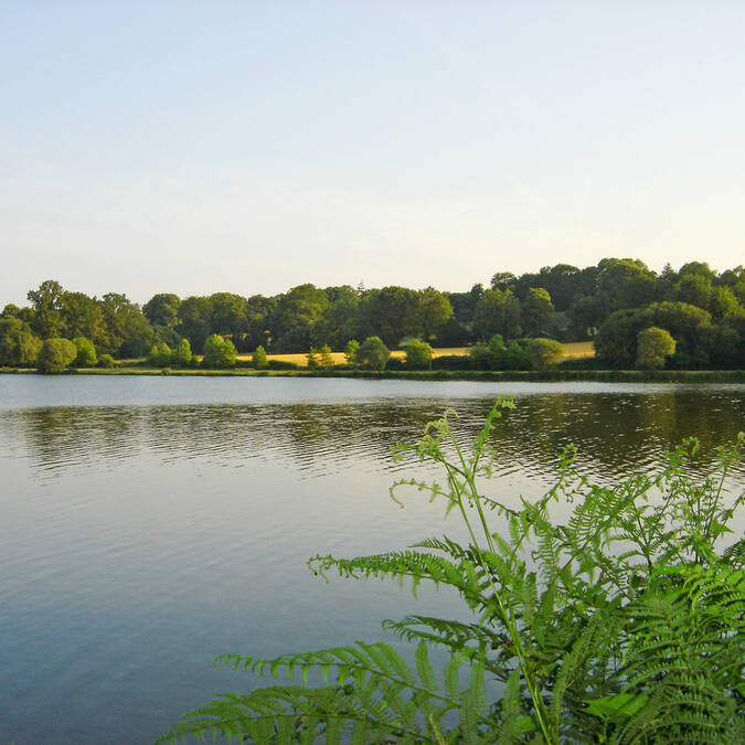 Étang de Langoëlan © OT Pays du Roi Morvan