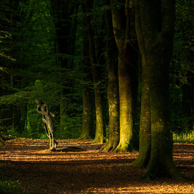 Parc de sculptures © Emmanuel Berthier