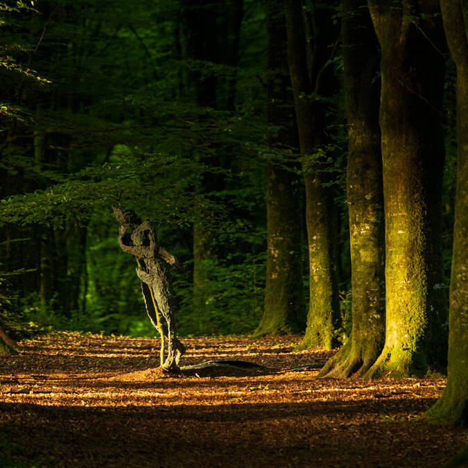 Le parc du domaine de Kerguéhennec © Emmanuel Berthier