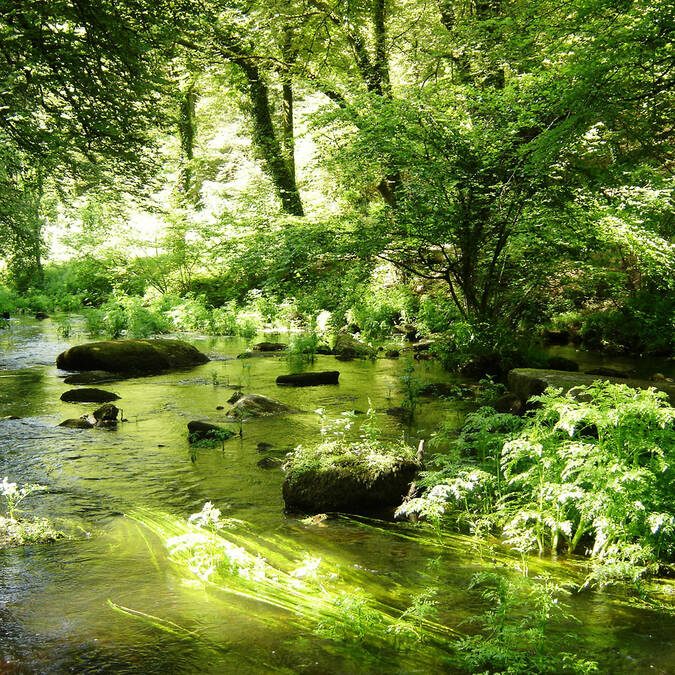 Accordez-vous une balade au bord de la rivière